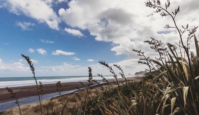 SEAVIEWS ON SHEARER OAKURA