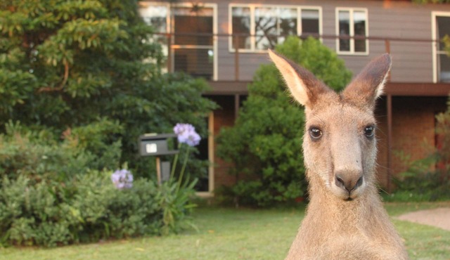 Sec57 - Jan's Retreat by Experience Jervis Bay