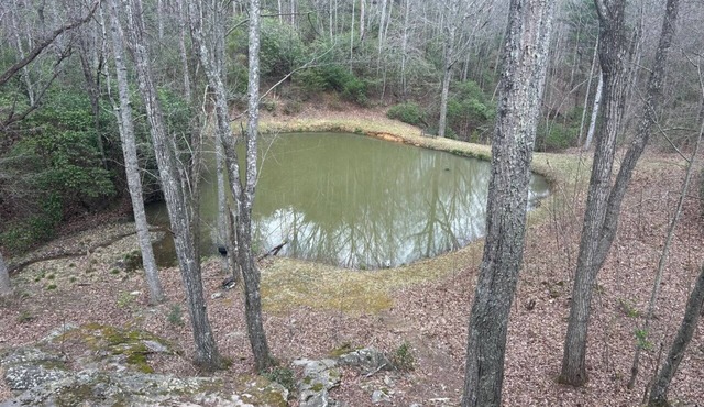 Secluded 1BR Cabin with Hot Tub, Wifi and Private Koi Pond