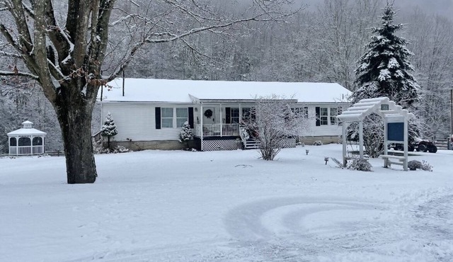 Secluded 3 bedroom home with creek in the back yard