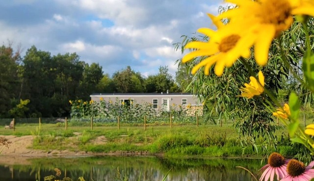 Secluded 3-bedroom Cabin style home with Pond and Wildlife, mins ofNew Hampton