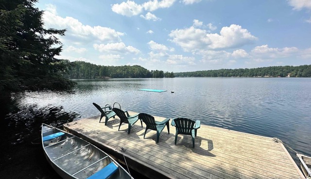 Secluded and beautiful wooded waterfront retreat