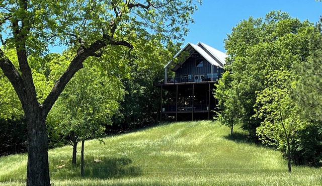 Secluded and Peaceful Treetop Cabin Retreat, located on Webb Mtn Cattle Ranch.