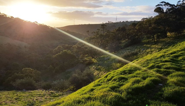Secluded artistic earthen home offering spa luxury