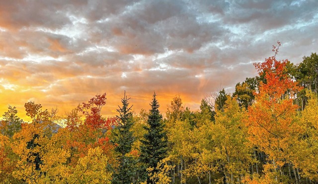 Secluded Aspen Treehouse with Incredible Views
