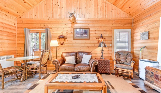 Secluded Bigfork Cabin w/Canoes & Views!