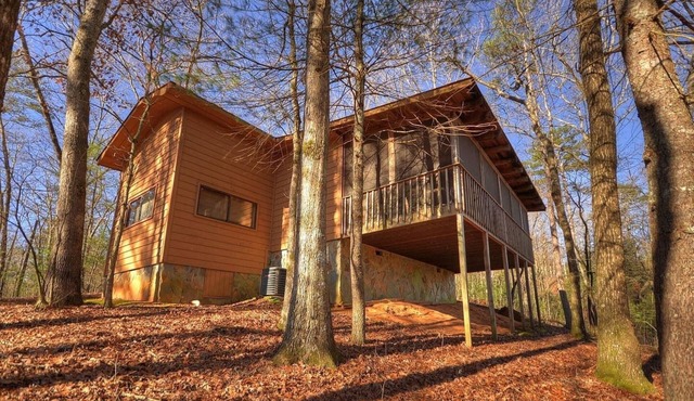 Secluded Bliss BirchTree Cabin with Indoor Hot Tub