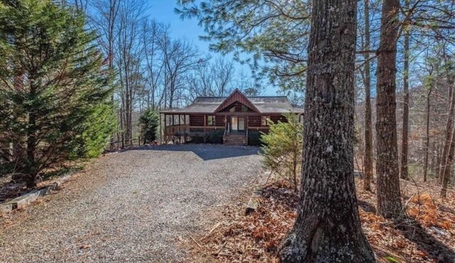 Secluded Blue Ridge-Ocoee cabin, FULL porch, fireplace, pool table, pet friendly