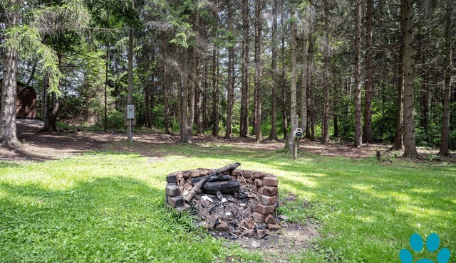 Secluded Cabin, 7ac, Pets, Fire Pit, Wine & Parks