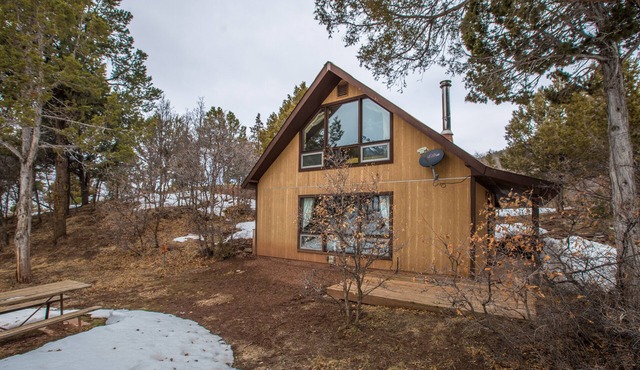 Secluded Cabin | Close to Downtown Ouray | Couple's Retreat | STR2025-068
