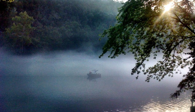 Secluded Cabin + Guest House with *Private Dock' at West End of Lake Taneycomo
