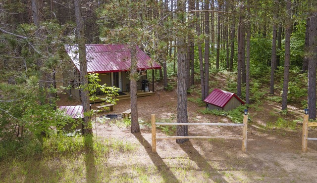 Secluded cabin in a Pine forest, just minutes away from Crystal Mountain