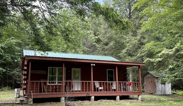 Secluded Cabin in Great Location - Close to State Parks in the Endless Mountains