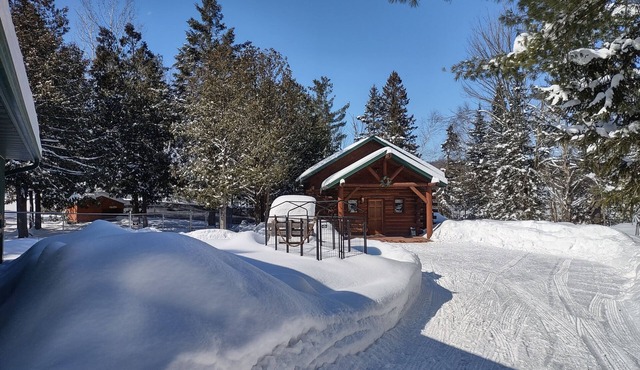 Secluded cabin in the woods-UTV, hunting, fishing, pet friendly