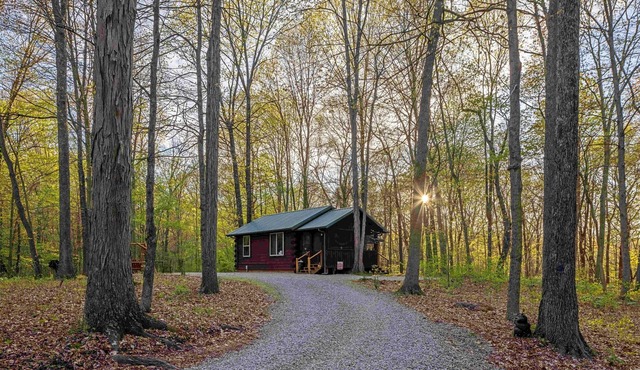 Secluded Cabin on 40 Acres | Hot Tub + Fireplace
