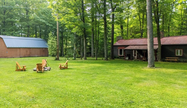Secluded cabin on creek-Hiking, Fire Pit, Large Yard, Pet Friendly!
