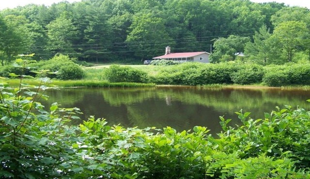 Secluded Cabin On Peaceful 100+ Acres with hot tub!