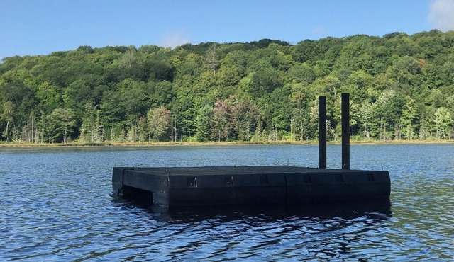 Secluded Cabin on Your Own Private Lake Nestled Among 350 Wooded Acres