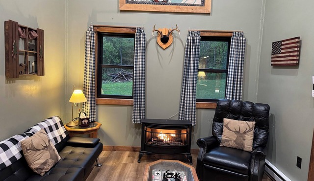 Secluded Cabin outside of Dushore