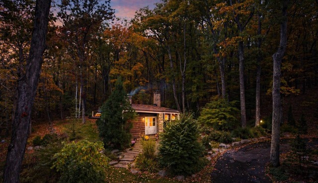 Secluded Cabin Retreat on 6 Acres w/Fireplace, Trails, Creek & Record Player