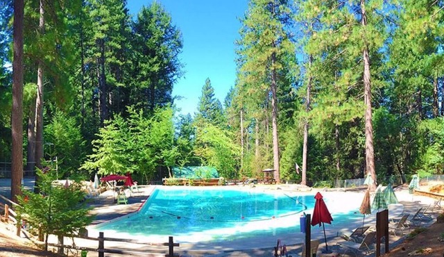 Secluded cabin retreat on 8 private acres with Hot Tub