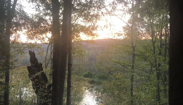 Secluded Cabin Nestled In The Trees Overlooking Fishing & Canoe Pond