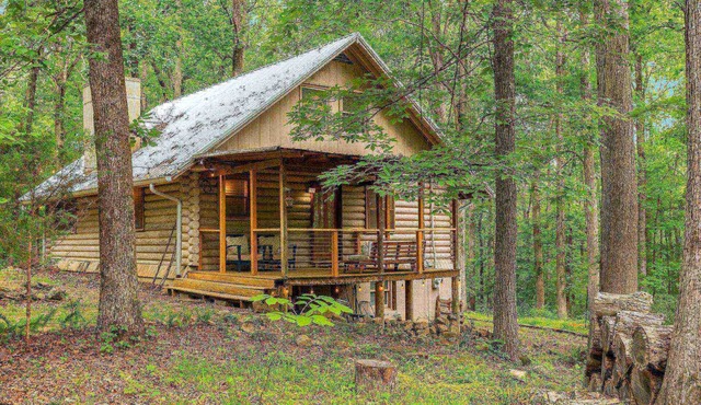 Secluded Cabin ~ 30 Minutes to Downtown Nashville or Downtown Franklin ~ Fire Pit ~ Family Fun!