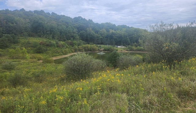 Secluded Cabin near Hocking Hills with Stocked Pond/Hot Tub on 40 acres