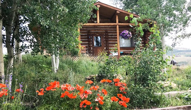 Secluded Cabin w/hottub, petfriendly, firepit, 20min to town, fish hunt slps 2