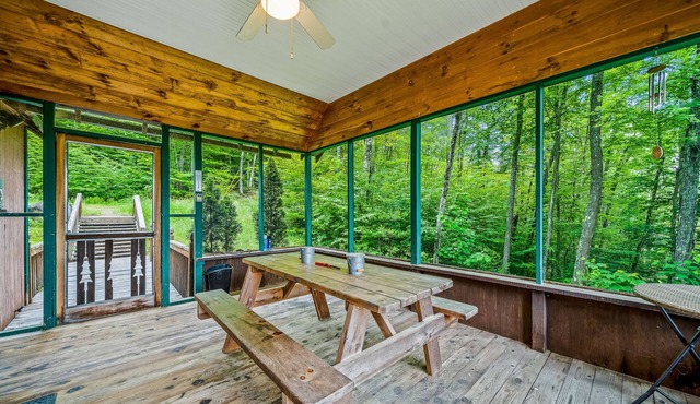 Secluded cabin with dock, wraparound deck, gorgeous view & enclosed porch