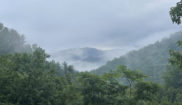 Secluded cabin with views/creek/wifi near GSMNP