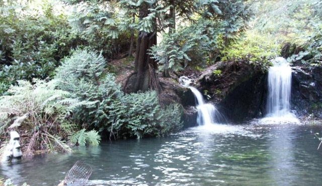 Secluded Caravan next to 2 pools & waterfalls. Decking area & Summer house