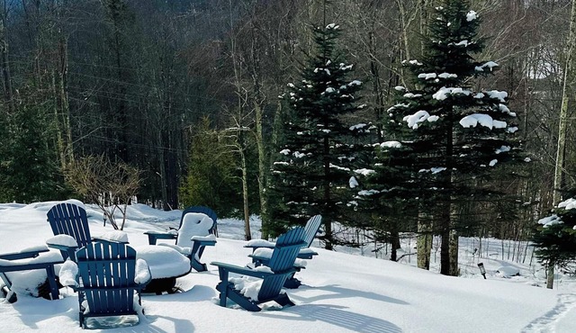 Secluded Catskill Getaway - 5 min to Belleayrenn