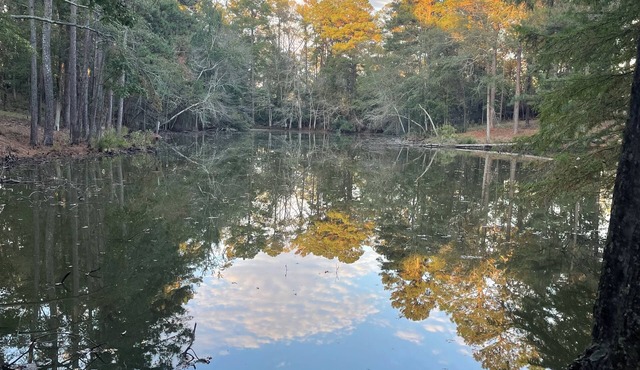Secluded Cottage on a Pond