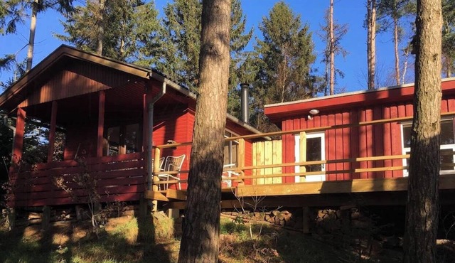 Secluded cottage in the middle of the forest