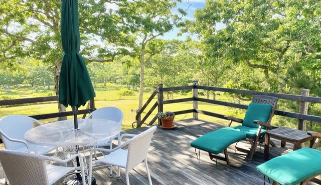 Secluded Cottage on Several Private Acres, Deck, Fireplace, Walk to Beach!