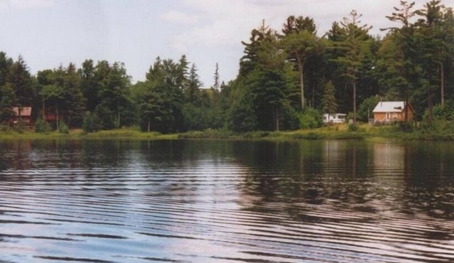 Secluded Cottage on Stella Lake.Row Boat with private boat landing site