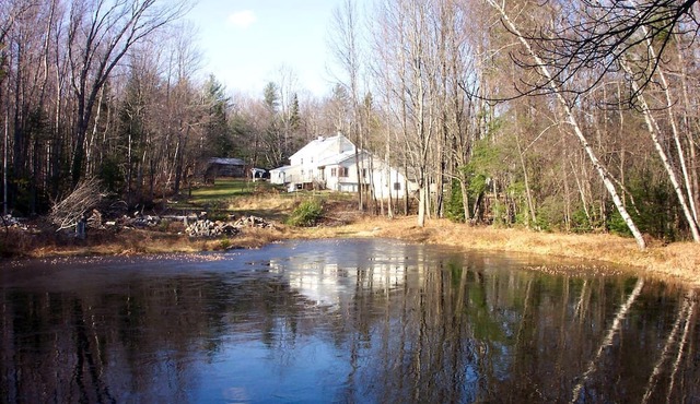 Secluded Cottage Rental in the Woods in Stony Creek, New York