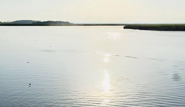 Secluded cottage on beautiful Sapelo Island