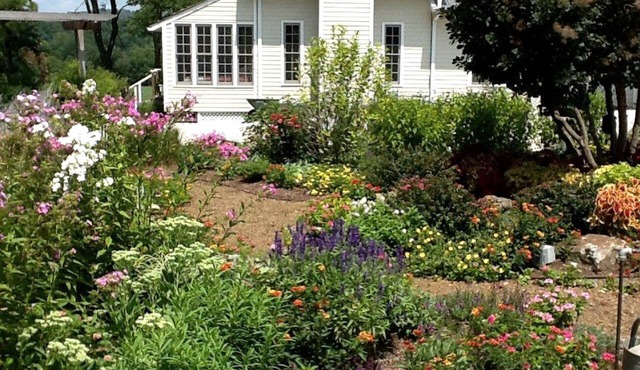 Secluded Country Cabin Rental with Beautiful Garden Space near Fayetteville, Arkansas