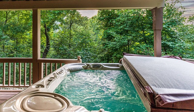 Secluded Country Dream with all the Fun!