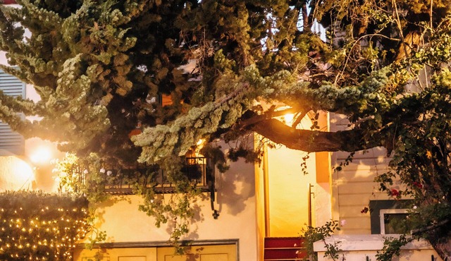 Secluded Courtyard Studio with Kitchen & Private Entrance