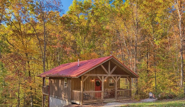 Secluded Cozy Cabin - Hot Tub, Fire Pit, Fireplace