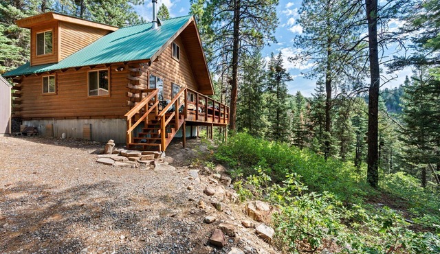 Secluded Cozy Cabin, Pet Friendly, 20 Min to Durango, 10 to Vallecito!