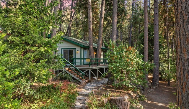 Secluded Cozy Cottage: Walk to Town, Private