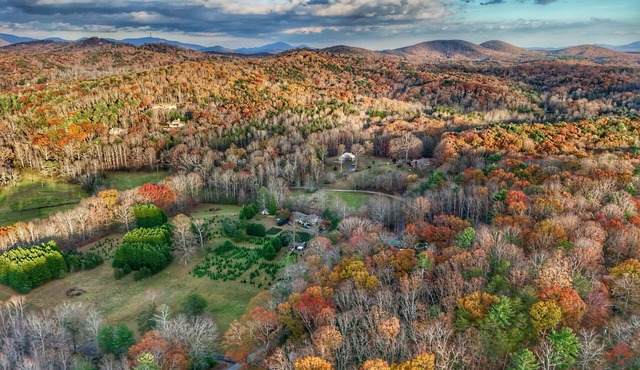 Secluded Creekside Cabin Heart of Dahlonega Wine, Weddings, and Adventure