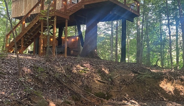 Secluded creekside treehouse cabin in Shelby with hot tub, AC, WiFi