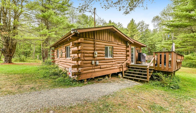 Secluded Dog-Friendly Studio w/Deck, Private Pond, Fireplace, Fast WiFi, Views