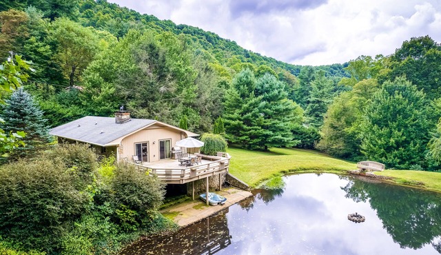 Secluded Dog-Friendly Home w/Spacious Deck, Gas Grill, Gas Fireplace, Fast WiFi