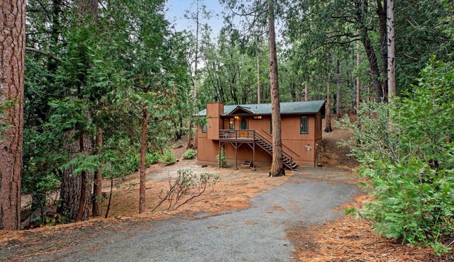 Secluded Dog-Friendly Cabin w/Wood Fireplace, Deck, Private W/D, Mtn Views